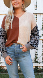 leopard sleeve color block sweater in brown